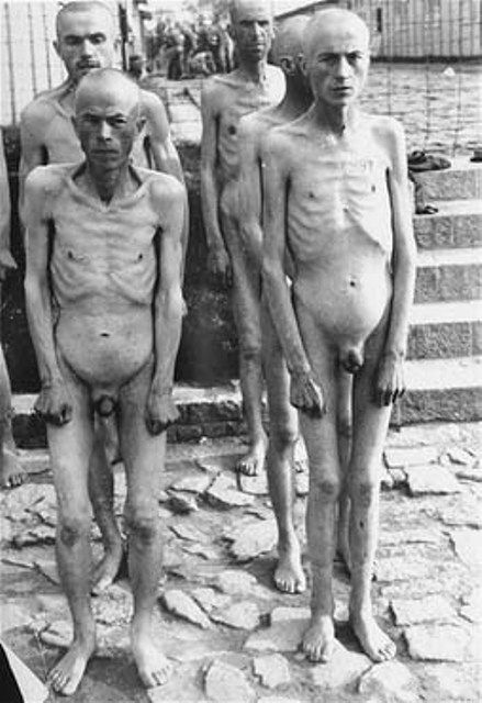 Male nude concentration camps like Male nude concentration camps right!